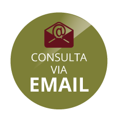 Consulta Via Email