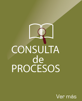 Consulta de procesos